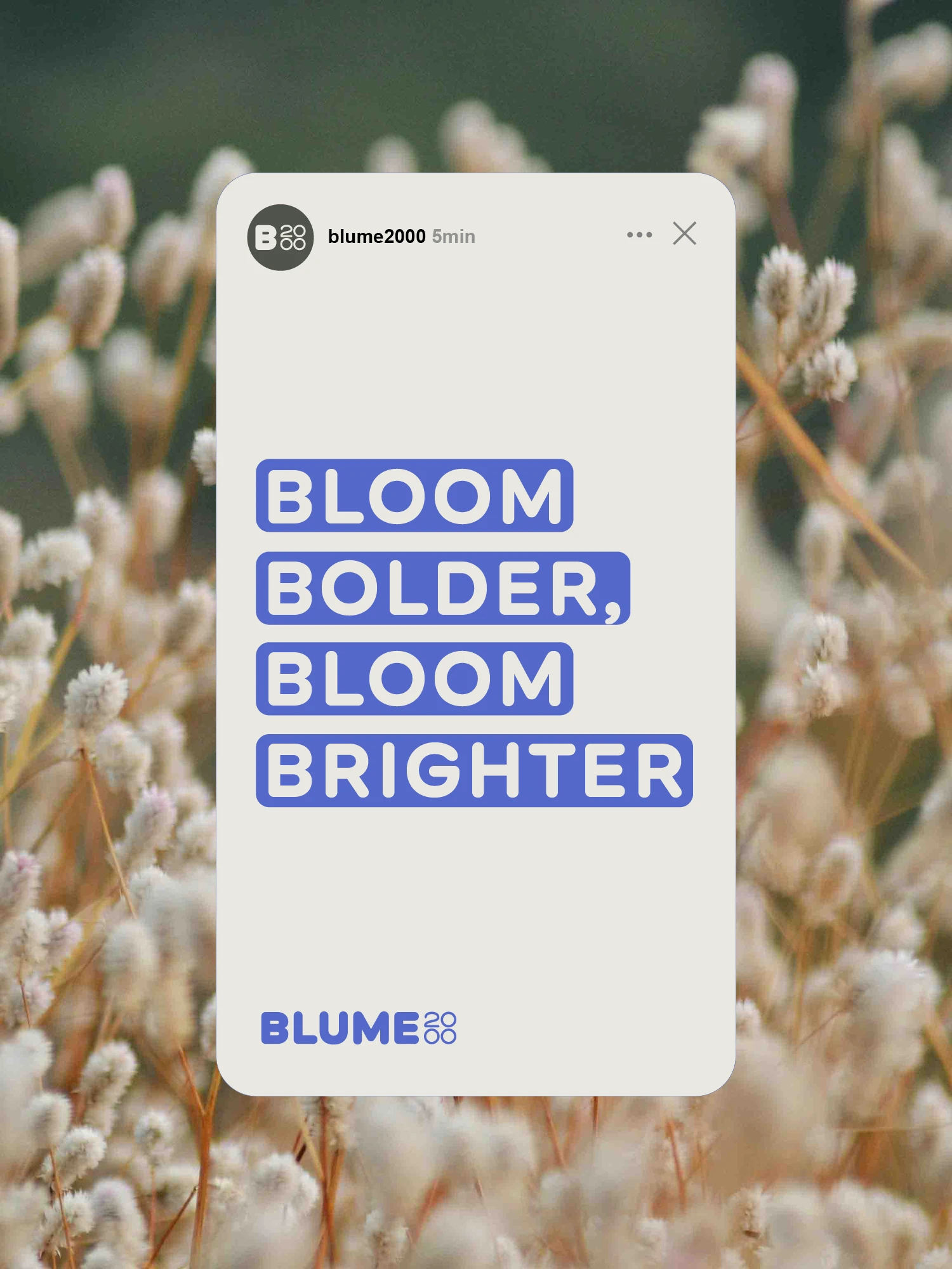 Blume2000 social media post reading "Bloom bolder, bloom brighter"