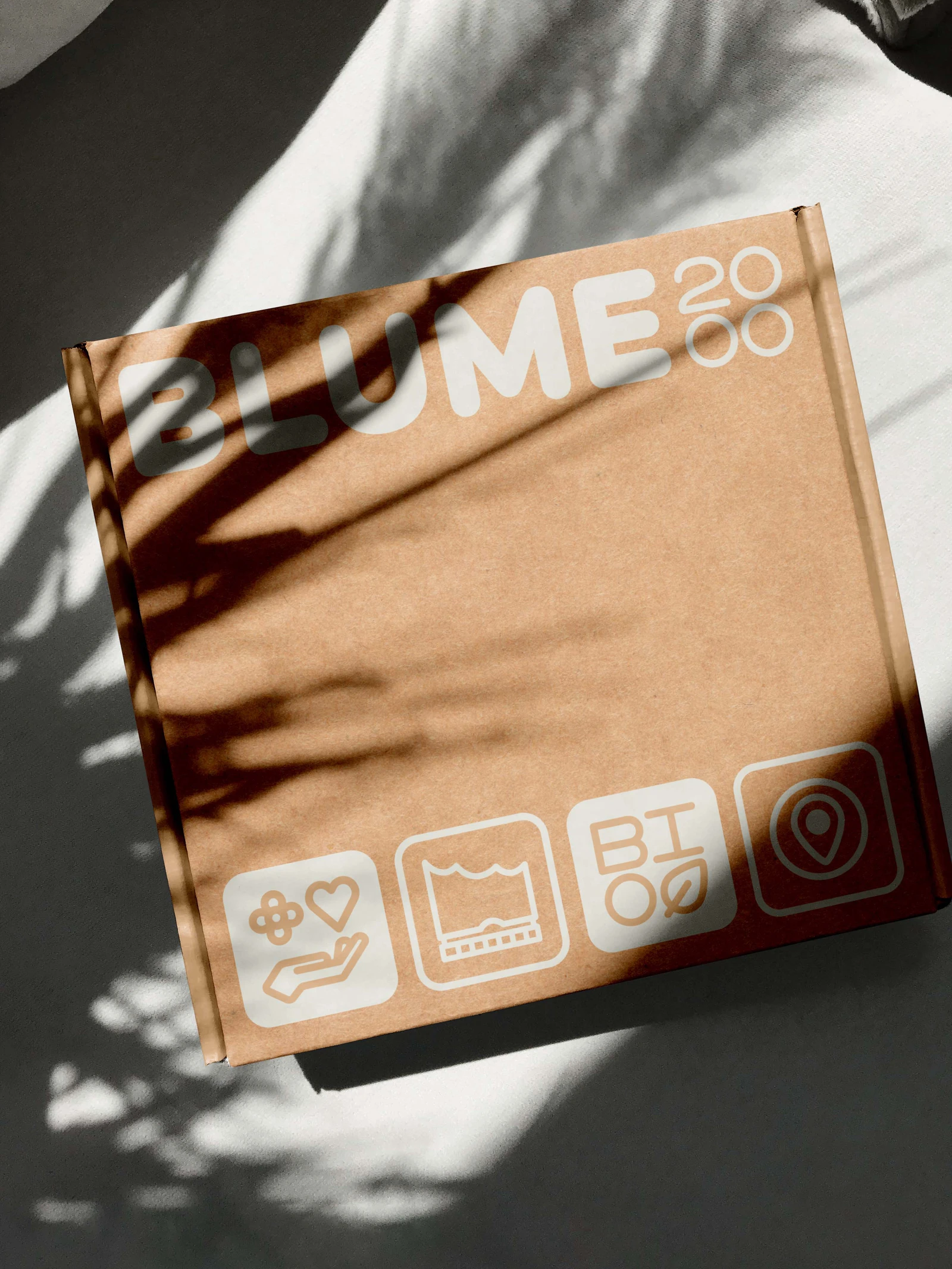 Kraft paper box with the Blume2000 logo and icons in dappled light